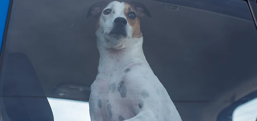 Car Lockout Solutions in Corcoran, California